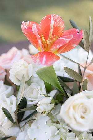 52-Tricor-decor-7317