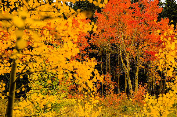 002-Colorado-30