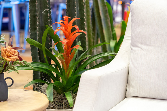 9-AccessDecorMar7-08895