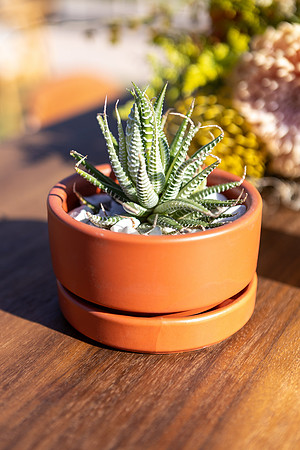 38-BofA-Decor-May20-9871