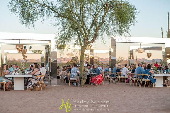 50-www.HarleyBonham.com-7513