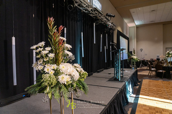 019-MPI Gala 2024-74108079
