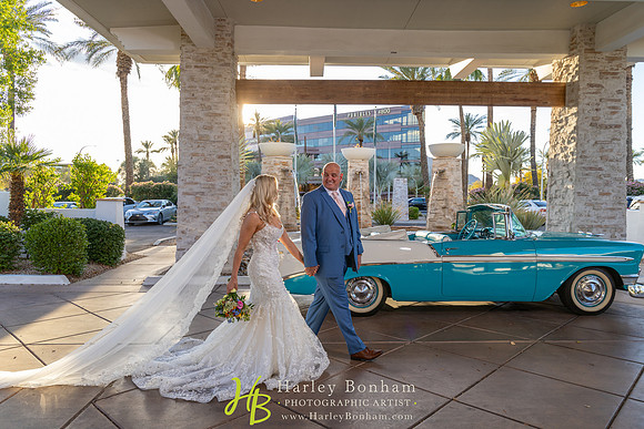 66-www.harleybonham.com-0643