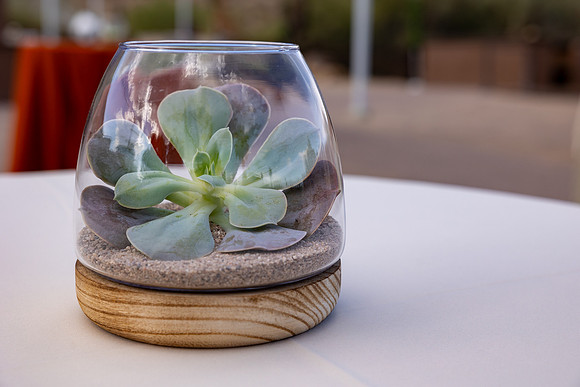 4-PRA-Principal Decor-6553