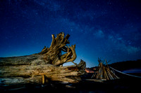 Driftwood, painting with light, La Push, WA