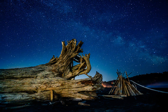 Driftwood, painting with light, La Push, WA