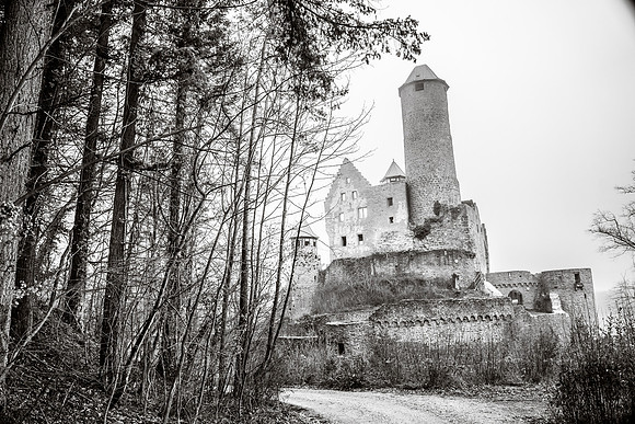368-AMS-GER-7308328
