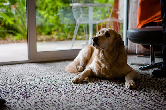 010-HarleyBonham.com-1539