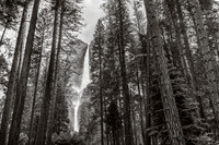 332-california2017-6301314