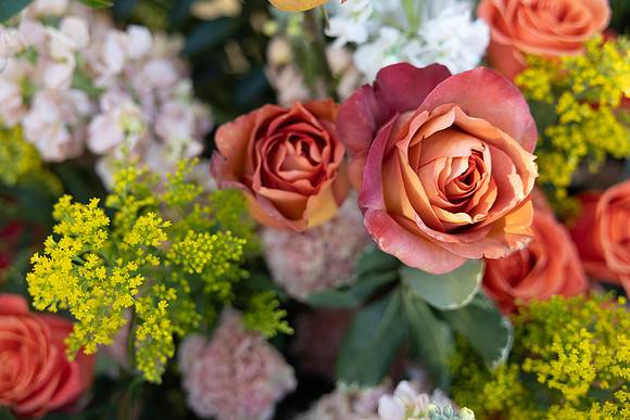 35-Tricor-decor-7299