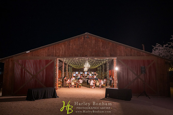92-www.harleybonham.com-3313