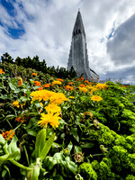 Hallgrimskirkja, Rekjavik