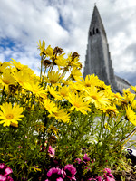 Hallgrimskirkja, Rekjavik