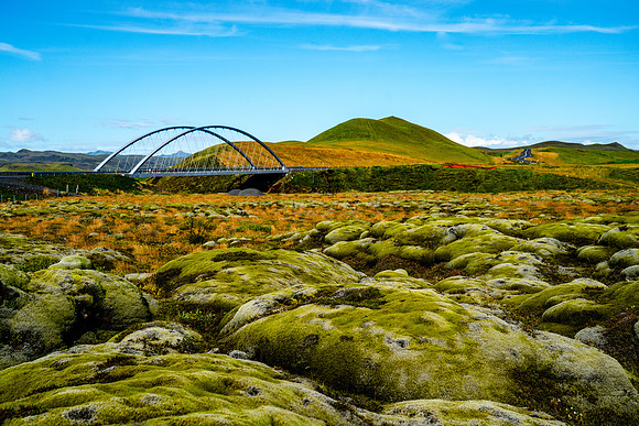 Moss-covered lava rocks