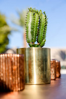 3-ZSDecor-5068