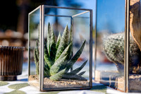 7-ZSDecor-5072