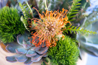 5-MCADecor-Phoenician-3432