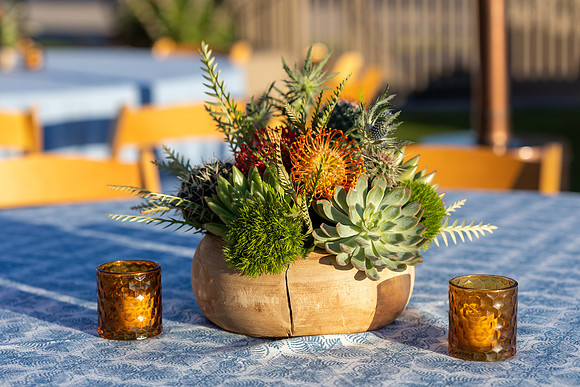 22-MCADecor-Phoenician-3456
