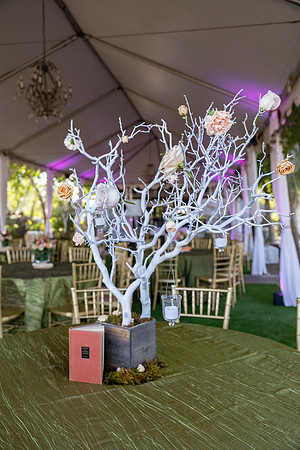3-LucysMitzvah-Party-8464
