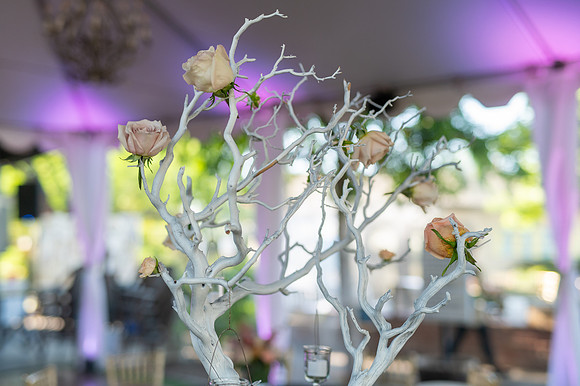 14-LucysMitzvah-Party-5236