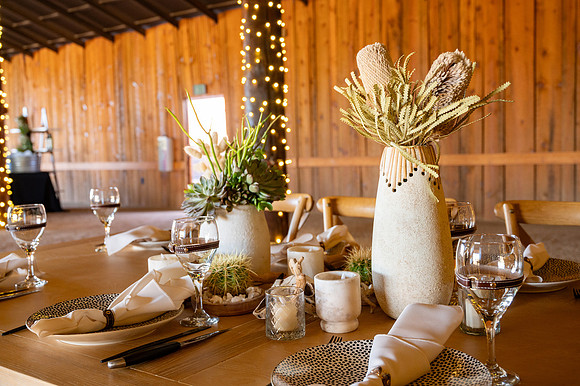 17-MCADesertFoothillsDecor-Nov6-8762