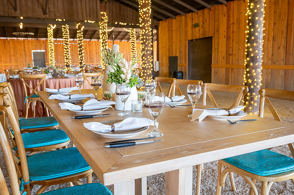 23-MCADesertFoothillsDecor-Nov6-8770