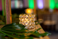 16-HavanaNights-9846