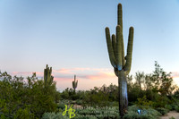 5-www.HarleyBonham.com-3644
