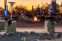 19-www.HarleyBonham.com-3688