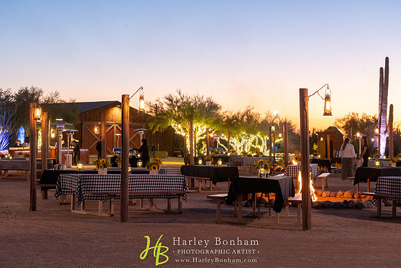 22-www.HarleyBonham.com-3696