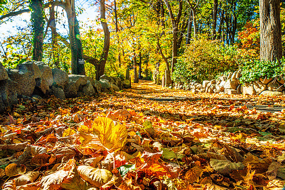 027-FallColors-74200220