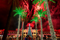 FSP Christmas Tree Lighting 2025