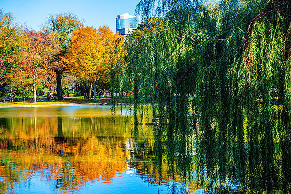 004-FallColors-74208021