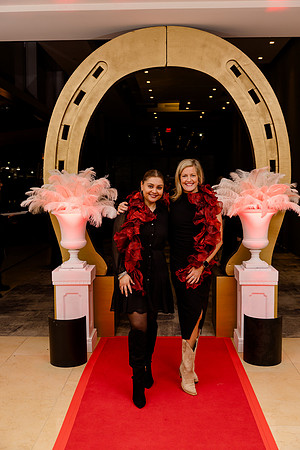 SpringWorks_AwardsDinner_D2-8215