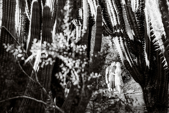 013-Sarah and Jeremy-74101946