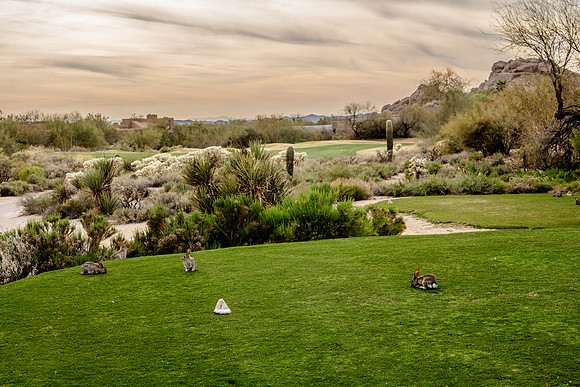 660-Boulders North-74100317