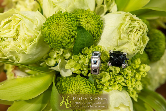 4-HarleyBonham.com-0036