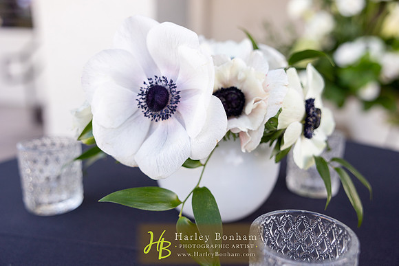 57-HarleyBonham.com-0430