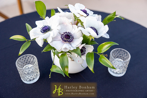 58-HarleyBonham.com-0431