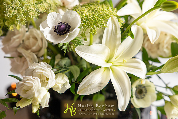 69-HarleyBonham.com-0445