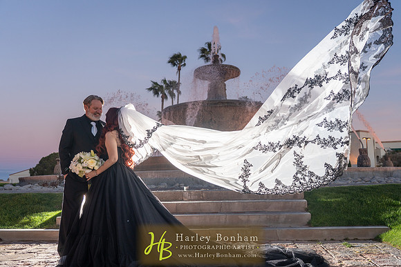 85-HarleyBonham.com-74109860