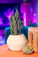 Wiley Decor June 10