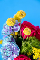 7-Feb16-decor-3287