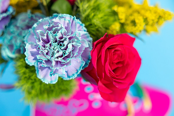 6-Feb16-decor-3286