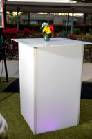 17-Feb16-decor-3299