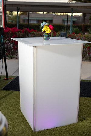 17-Feb16-decor-3299