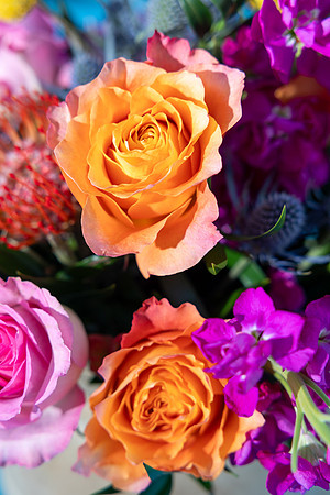 13-Decor-Feb17-4204
