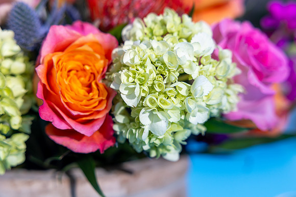12-Decor-Feb17-4203