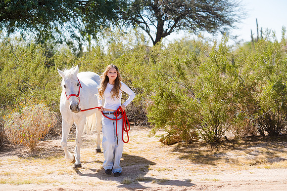 195-Christian&CarlyEngagement-74105247