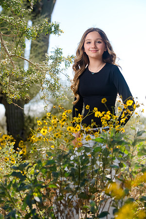 237-Christian&CarlyEngagement-74105349